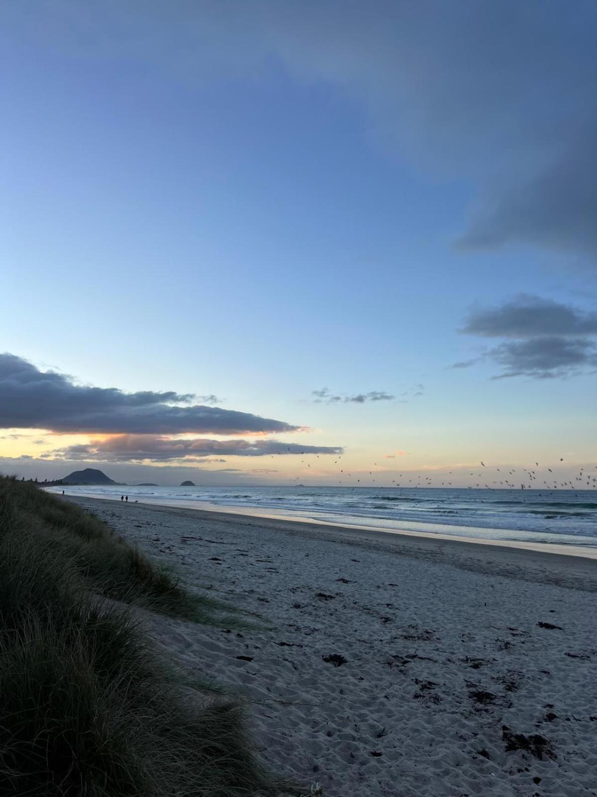 Papamoa Beach, Pohutukawa Deluxe Studio, On Hugoway Kültér fotó